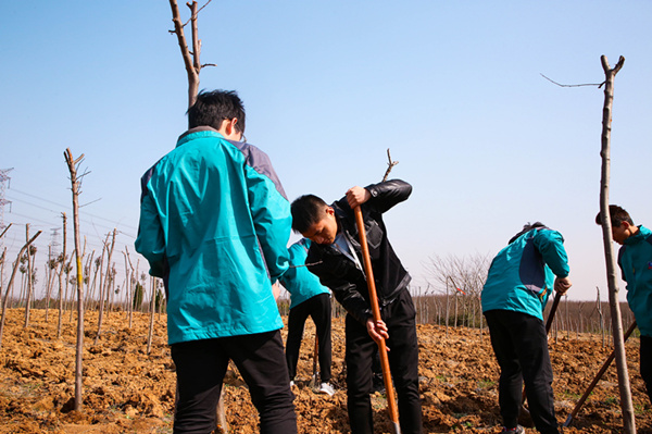 “攜手植樹(shù)，共創(chuàng)藍(lán)天”丨南京新華師生共筑新華育才林