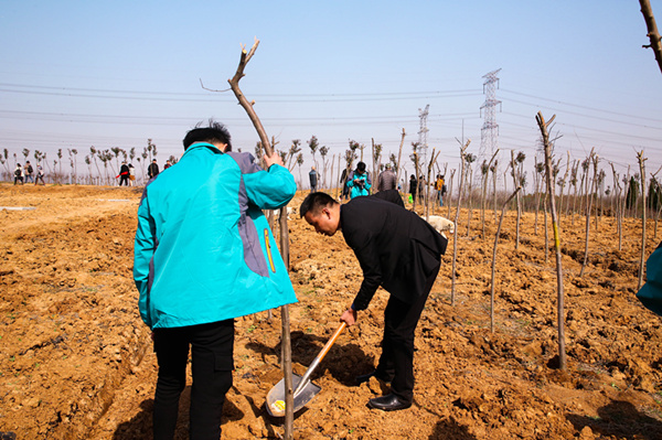 “攜手植樹(shù)，共創(chuàng)藍(lán)天”丨南京新華師生共筑新華育才林