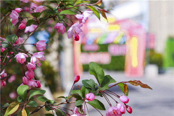 春暖花開，等你歸來——邀你云賞南新春景，以慰思念