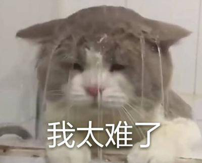 勁爆！新華電腦教育服務旗艦店正式入駐天貓，課程1折秒殺！